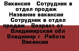 Вакансия : Сотрудник в отдел продаж › Название вакансии ­ Сотрудник в отдел продаж › Возраст от ­ 17 - Владимирская обл., Владимир г. Работа » Вакансии   